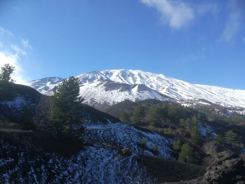 From Taormina: Half-Day Mount Etna Morning Trek - A simple winery lunch after the hike