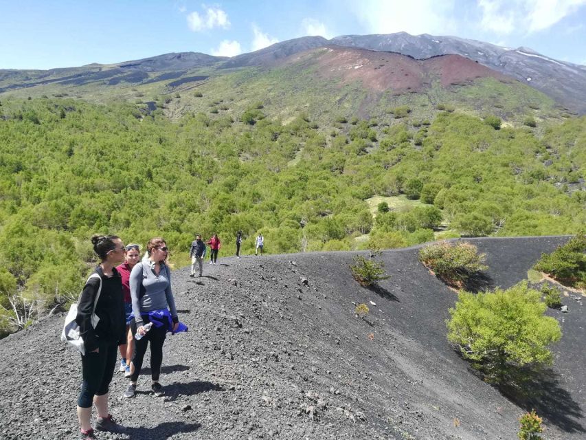 From Taormina: Half-Day Mount Etna Morning Trek - What $106 gets you