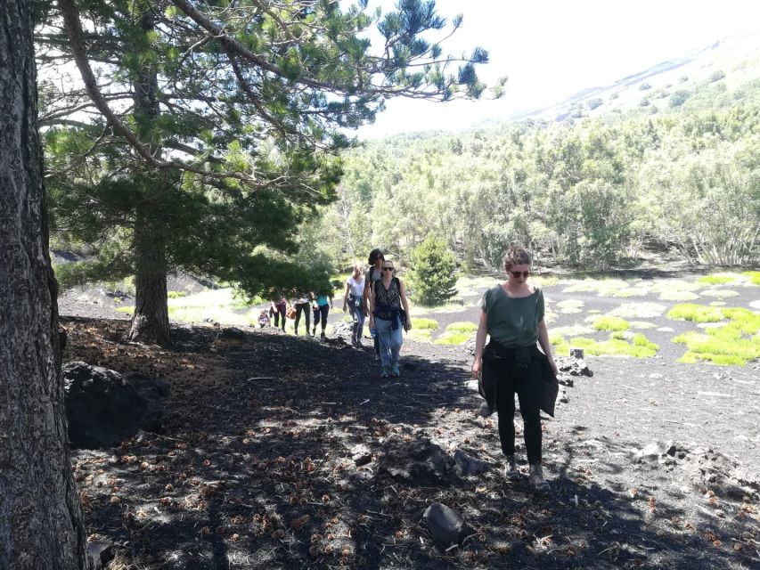 From Taormina: Half-Day Mount Etna Morning Trek - Should you book the Mount Etna morning trek?