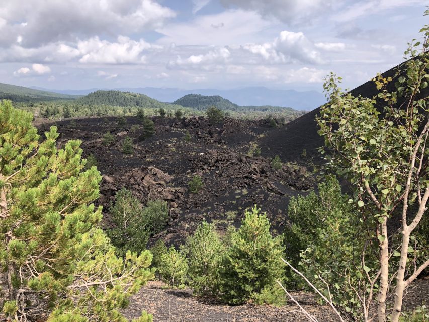 From Taormina: Half-Day Mount Etna Morning Trek - Walking the extinct craters and lava paths