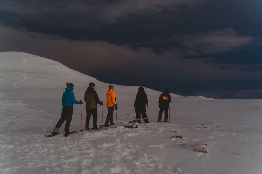 From Tromsø: Evening Fjellheisen Snowshoe Hike and Cable Car - Key points at a glance
