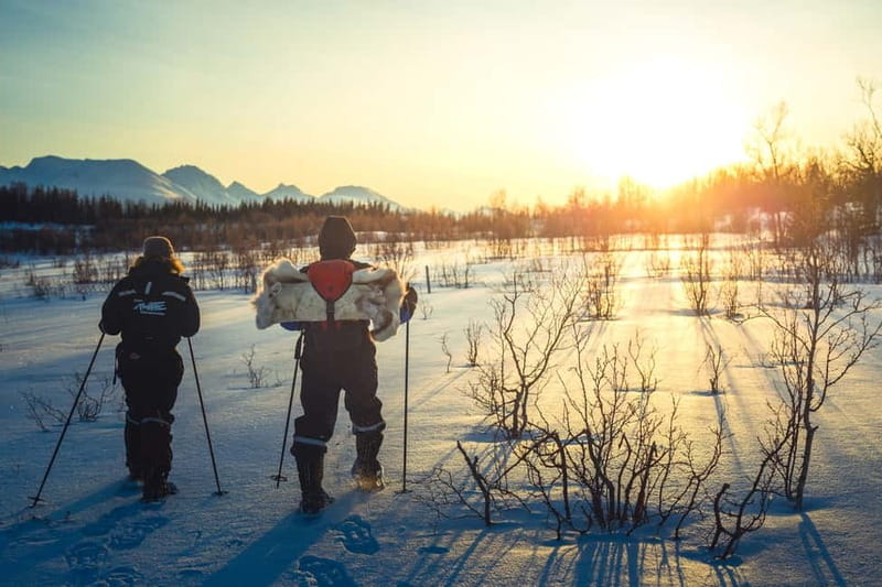 From Tromsø: Guided Husky Snowshoe Hike and Husky Camp Visit - From Tromsø to the husky camp