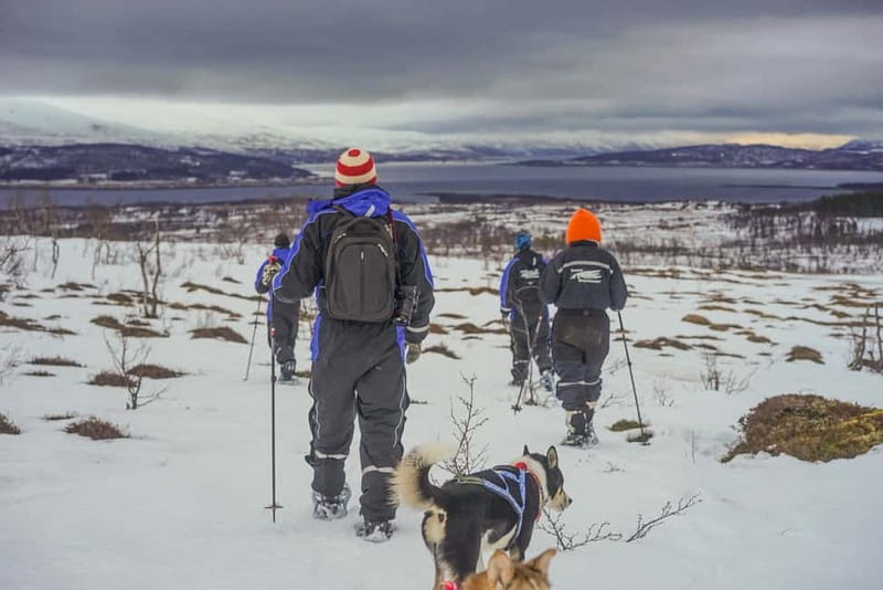 From Tromsø: Guided Husky Snowshoe Hike and Husky Camp Visit - A snowshoe route shaped by the weather
