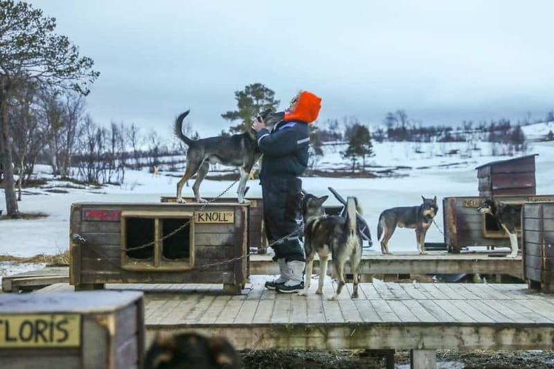 From Tromsø: Guided Husky Snowshoe Hike and Husky Camp Visit - The halfway pause with hot juice and cookies