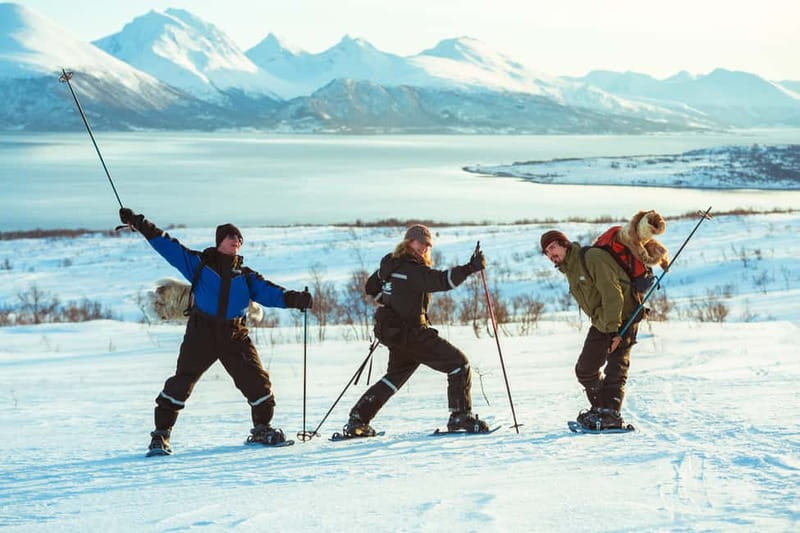 From Tromsø: Guided Husky Snowshoe Hike and Husky Camp Visit - Meeting the 200 huskies after the hike
