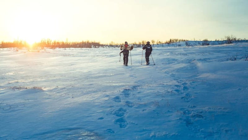From Tromsø: Guided Husky Snowshoe Hike and Husky Camp Visit - Who should book this outing?