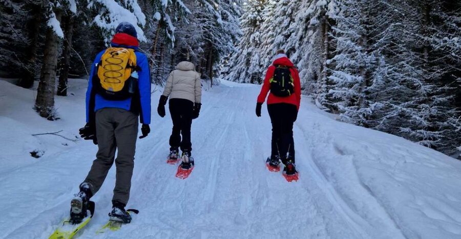 From Tromsø: Snowshoe Hike in the Arctic - Key points to know before you go