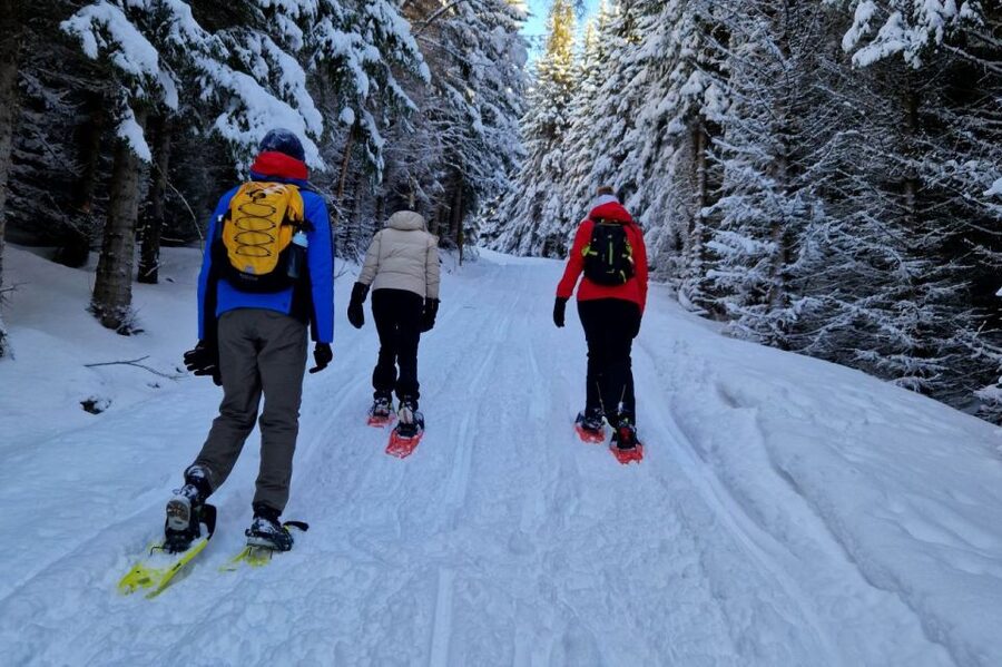 From Tromsø: Snowshoe Hike in the Arctic - From Tromsø’s waterfront to Ersfjordbotn