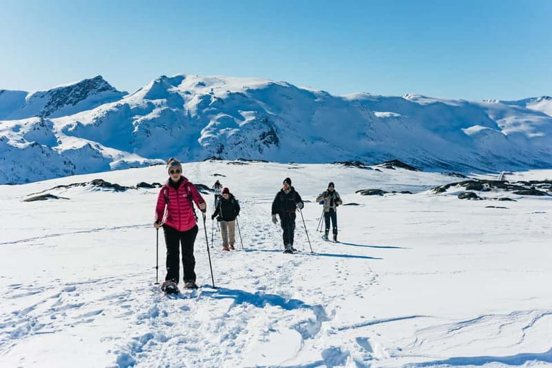 From Tromsø: Snowshoeing Hike with Picnic Lunch and Photos - Three hours among Kvaløya’s mountains and fjords
