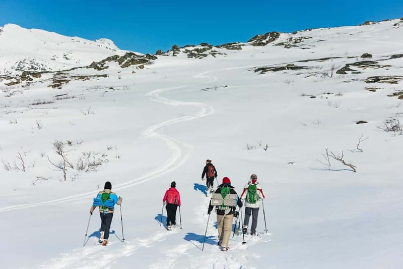 From Tromsø: Snowshoeing Hike with Picnic Lunch and Photos - The picnic: simple food, excellent setting