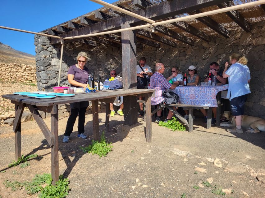 Fuerteventura: Guided Trekking Tour with Island Goats - Is $80 a fair price?