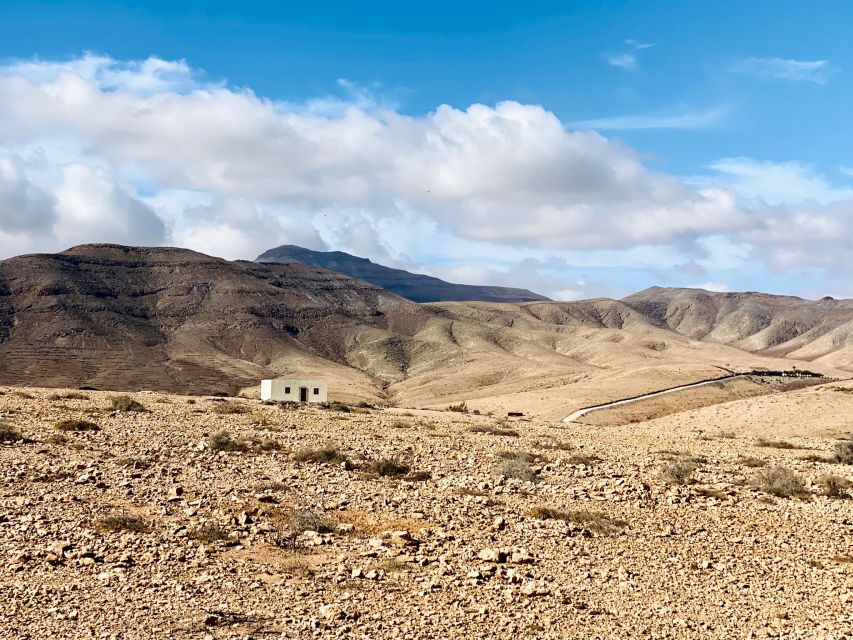 Fuerteventura: Guided Trekking Tour with Island Goats - Who should book this experience?