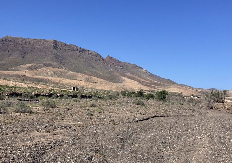 Fuerteventura: Guided Trekking Tour with Island Goats - Getting the most from the five-hour schedule