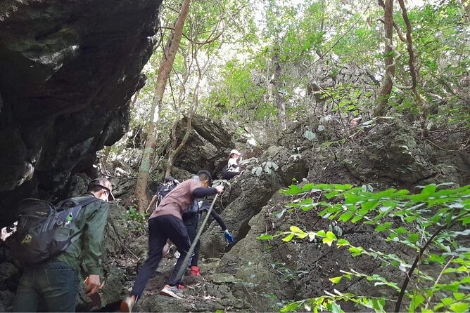 Full-Day Cuc Phuong National Park Hiking Tour - Walking to the Ancient Trees