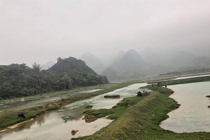 Full-Day Cuc Phuong National Park Hiking Tour - The Prehistoric Man Cave