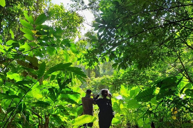 Full-Day Cuc Phuong National Park Hiking Tour - Lunch, Snacks, and the Real Cost