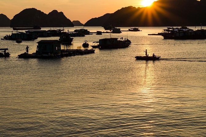 Full day hikes, Cycles, Kayaks & swims in Cat Ba National park - 8:00 pickup and the ride to the park