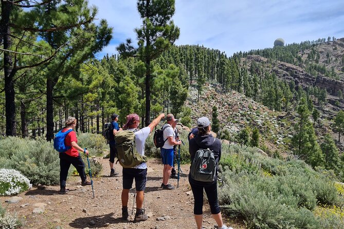 Full day Hiking Gran Canaria Peaks of Gran Canaria - The mountain views, route changes, and local lunch at a glance