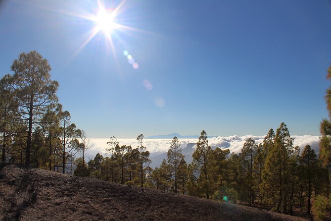 Full day Hiking Gran Canaria Peaks of Gran Canaria - Why Gran Canaria’s central mountains are worth your day