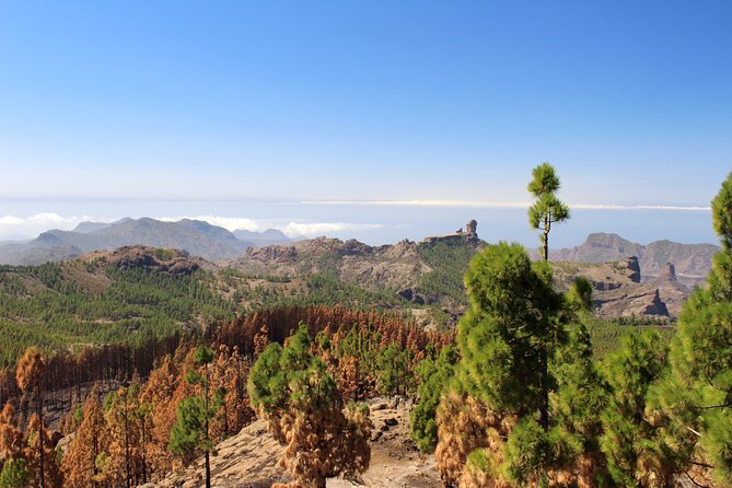 Full day Hiking Gran Canaria Peaks of Gran Canaria - Roque Nublo, Pico La Catedral, and the big horizon