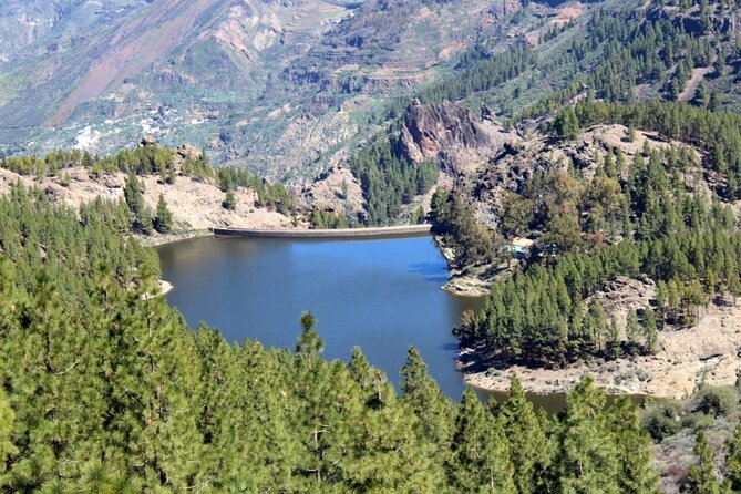 Full day Hiking Gran Canaria Peaks of Gran Canaria - A guide-led pace that works for mixed groups