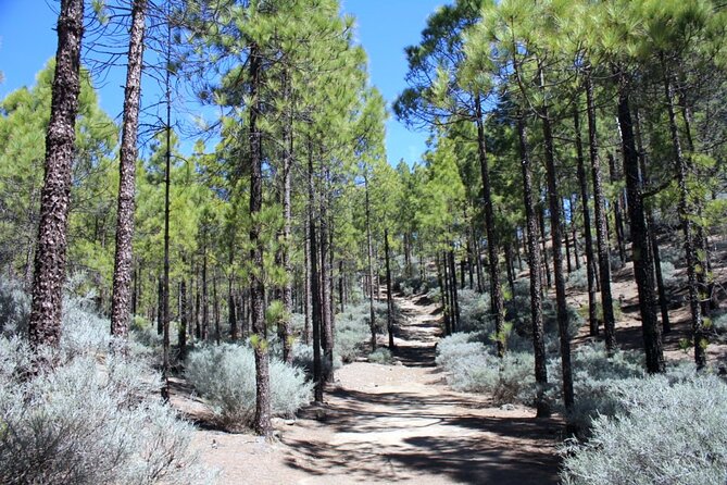 Full day Hiking Gran Canaria Peaks of Gran Canaria - Starting from Maspalomas and the southern resorts