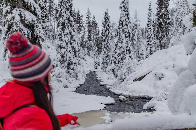 Full Day Hiking to Korouoma Canyon & Frozen Waterfalls - Who Will Enjoy This Day Most