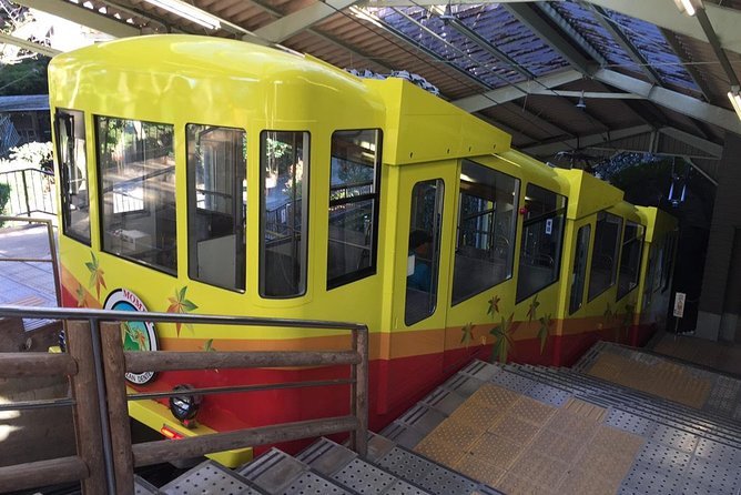 Full Day Hiking Tour at Mt.Takao including Hot Spring - A short visit to the Takao 599 Museum