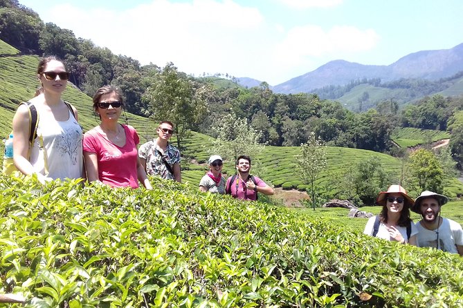 Full day in hiking in Munnar (By Munnar Info) - What this Munnar hike is really like