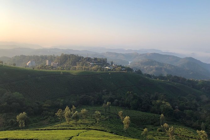 Full day in hiking in Munnar (By Munnar Info) - Starting through the Kannandevan tea plantation