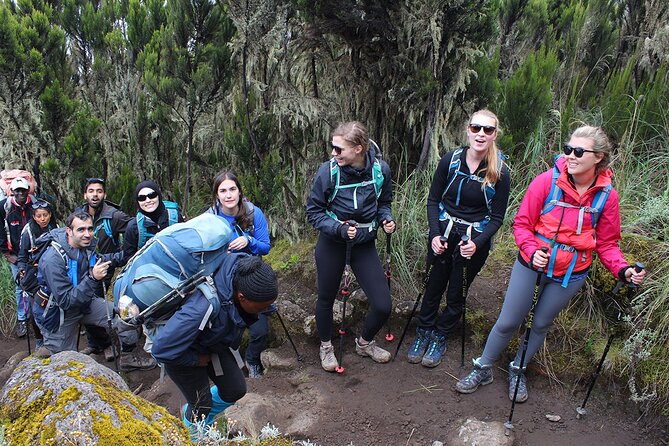 Full Day Private Hiking Tour to Kilimanjaro Mountain - Is $250 a Fair Price?