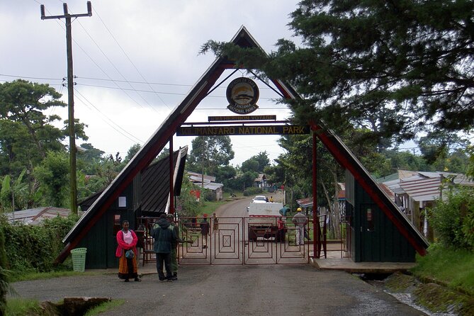 Full Day Private Hiking Tour to Kilimanjaro Mountain - Fitness, Clothing, and What to Clarify
