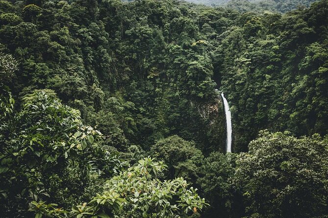 Full Day Tour with Safari Float, Waterfall and Volcano Hike - Five things to know before booking