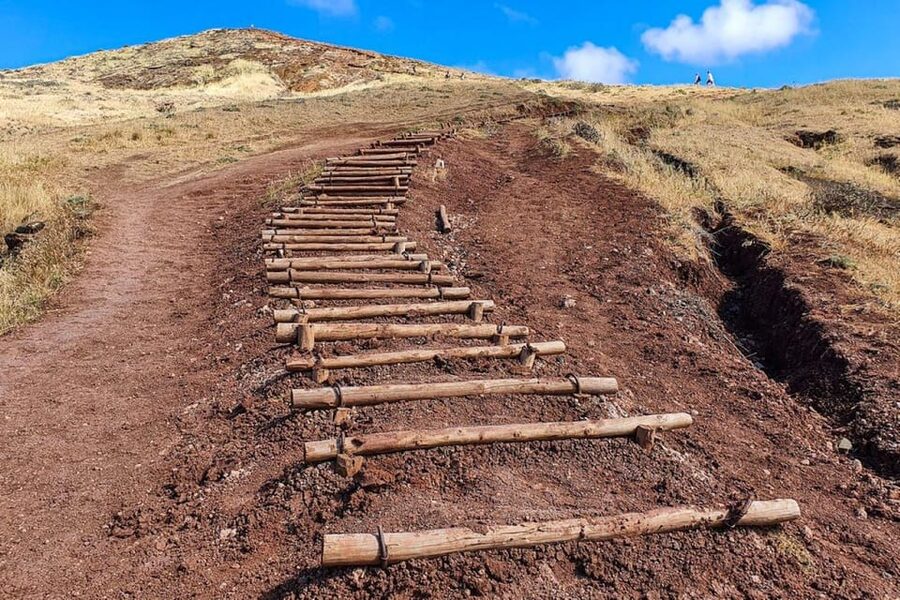 Funchal: Caniçal Ponta São Lourenco Hiking Transfer - Who will enjoy this experience most