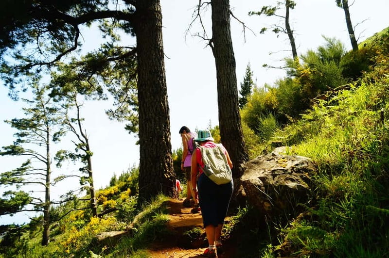 Funchal: Pico do Arieiro Sunrise Plus 2 extra Hiking Trails - The café stop after the hard miles