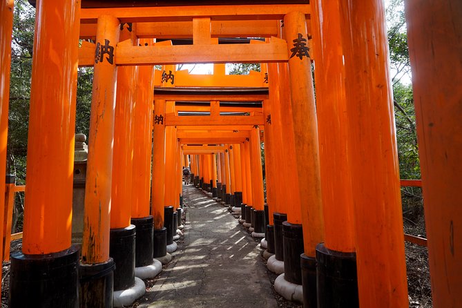 Fushimi Inari Hidden Hiking Tour (Private Option Available) - Why approach Fushimi Inari from the forest?
