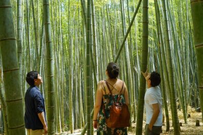 Fushimi Inari Hidden Hiking Tour (Private Option Available)