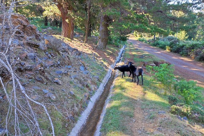 Gastro hike (Private Tour) - What the five-star pattern tells you