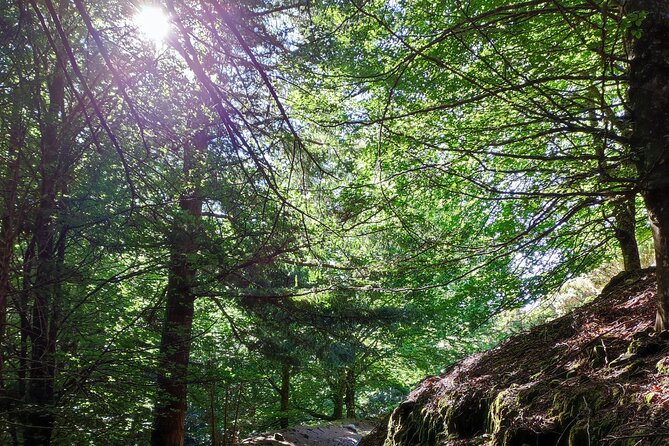 Gastro hike (Private Tour) - Why a private guide changes the walk