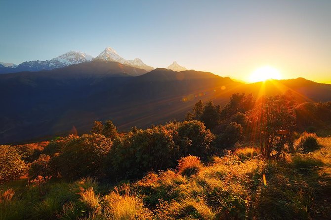 Ghorepani - Poon Hill Trek 3N-4D - Forest Trails, Rhododendrons, and Tadapani