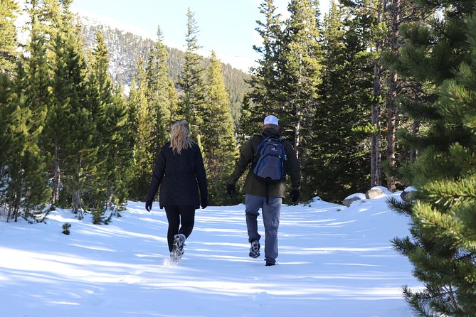 Glacier Hiking & Geothermal Cave Pools Tour - The guide can shape the whole day
