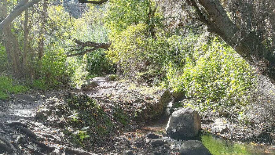 Gran Canaria: "Magic Waterfalls" Hiking Tour - Why this part of Gran Canaria feels unexpected