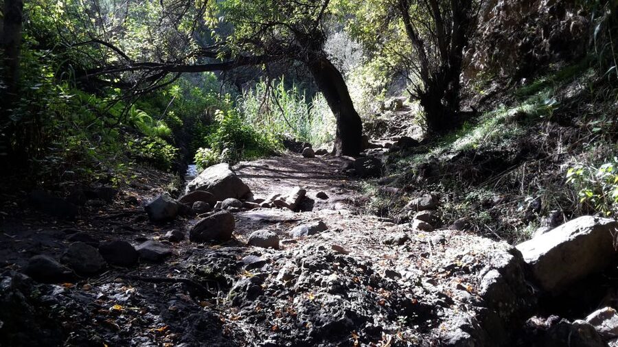 Gran Canaria: "Magic Waterfalls" Hiking Tour - Lunch in a local bar, not just a packed sandwich