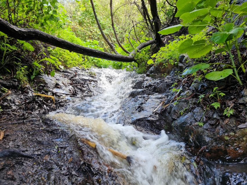 Gran Canaria: "Magic Waterfalls" Hiking Tour - Final call: a strong choice for nature and local flavor