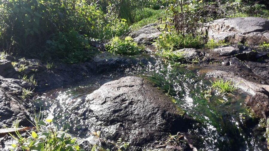 Gran Canaria: "Magic Waterfalls" Hiking Tour - The morning pickup and the value of a small minibus