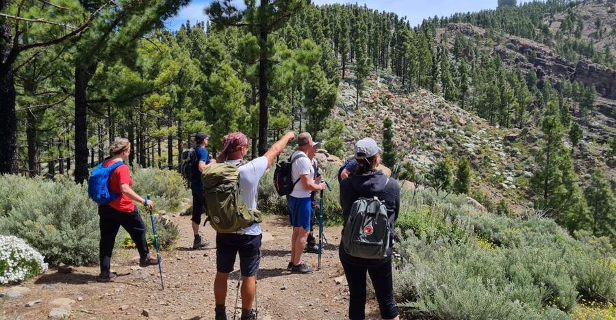 Gran Canaria: "Peaks of Gran Canaria" Hiking Tour - Key points at a glance