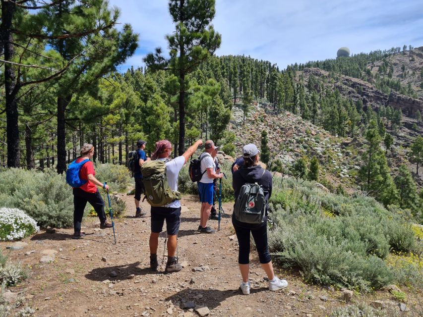 Gran Canaria: "Peaks of Gran Canaria" Hiking Tour - Why Gran Canaria’s high country is worth your day
