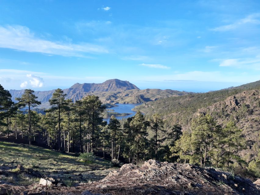 Gran Canaria: "Peaks of Gran Canaria" Hiking Tour - A 7 or 10 kilometer walk, depending on the day