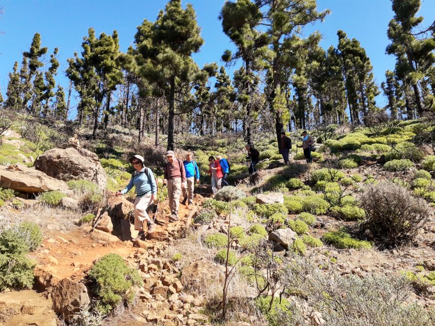 Gran Canaria: "Peaks of Gran Canaria" Hiking Tour - Maciej’s guiding style and the value of a small group