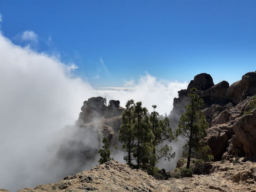 Gran Canaria: "Peaks of Gran Canaria" Hiking Tour - Lunch in a local restaurant